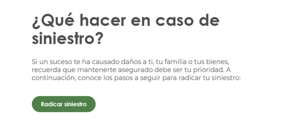 Opción siniestro